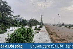 Bất cập tại mặt bằng Dự án tái định cư 3446 thành phố Thanh Hóa