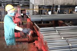Công ty Gang Thép Thái Nguyên xin triển khai tiếp dự án giai đoạn 2