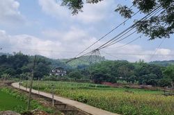 Dân sống 'khổ sở' vì thiếu điện sinh hoạt ngay giữa thành phố