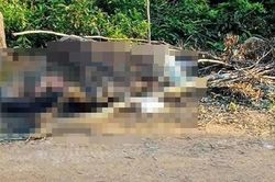 Làm rõ nguyên nhân người đàn ông chết cháy trong nghĩa trang