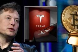 Sự 'mong manh' của tiền ảo: Elon Musk vừa đăng bài, chỉ 45 phút sau Bitcoin rớt giá mạnh