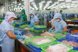 Trung Quốc tăng cường kiểm soát hàng thủy sản nhập khẩu