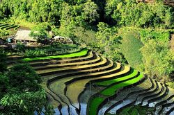 Vẻ đẹp ruộng bậc thang mùa nước đổ tại xã vùng cao Y Tý
