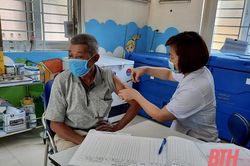 Chủ động phòng, chống bệnh dại trong mùa hè
