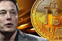 Elon Musk 'quay lưng' với bitcoin, thị trường tiền ảo mất trắng 365 tỷ USD