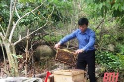 Xã Yên Nhân chú trọng khai thác lợi thế từ rừng