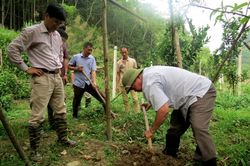 Bắc Kạn: Dừng thực hiện và không nghiệm thu dự án nghiên cứu phát triển trồng dược liệu