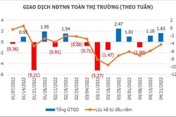 Xử lý nghiêm các sai phạm sẽ tăng 'xúc tác' hút vốn ngoại