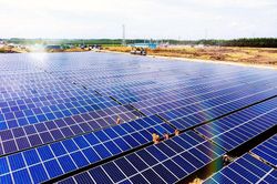 Ban lãnh đạo Bamboo Capital khẳng định công ty đang kinh doanh tốt, quý II/2022 sẽ tăng trưởng tích cực