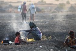 'Xác người bị linh cẩu ăn' trong thảm họa nhân đạo ở Tigray