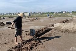 Giá quá thấp, diêm dân Nghệ An không mặn mà với vụ muối mới