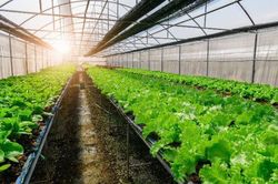Tập đoàn VsetGroup công bố nhiều dự án mới trong năm 2021