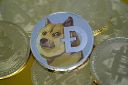 Cha đẻ Dogecoin: 'Elon Musk là kẻ chỉ biết quan tâm tới bản thân'