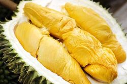 5 nhóm người tuyệt đối không nên ăn sầu riêng