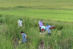 Vụ 2 mẹ con nằm chờ tàu Bắc-Nam để tự tử: Khởi tố vụ án, bắt tạm giam người mẹ