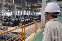 Giá tăng trên toàn cầu, Việt Nam đứng trước nhiều nỗi lo