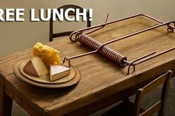 Không có bữa trưa nào miễn phí