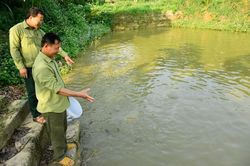 Cựu chiến binh giúp nhau làm kinh tế