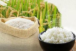Thị trường lúa gạo ngày 26/4 giữ ở mức ổn định