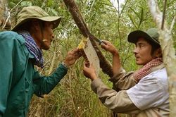 Du lịch Cà Mau vượt khó, sẵn sàng cho bước phát triển mới