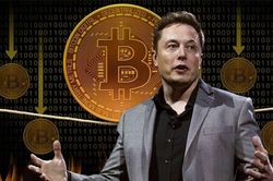 Elon Musk bị phát hiện mua vào 10 nghìn Bitcoin dù chê tiền ảo này gây hại môi trường