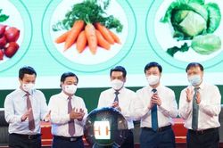 Nhấn nút khởi động chương trình đưa vải thiều và nông sản Hải Dương lên sàn thương mại điện tử