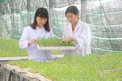 Khoa học công nghệ - nền tảng để kinh tế nông nghiệp bứt phá