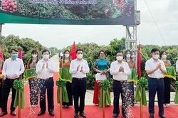 Lễ 'xuất ngoại' cho lô vải thiều đi Nhật
