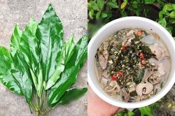 Lạ kỳ món canh 'Đắng Lòng': Đặc sản xứ Thanh, ăn vào nhăn mặt nhưng dễ ghiền
