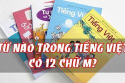 Câu đố từ vựng tưởng dành cho trẻ con nhưng người lớn cũng 'bí', bạn thì sao?