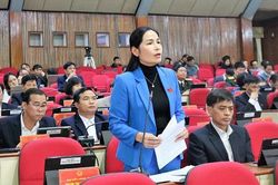 Công bố nghiên cứu về đóng góp của nữ đại biểu dân cử Việt Nam