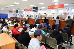Sở TT&TT TP.HCM hoàn thiện 100% việc cung cấp dịch vụ công trực tuyến mức độ 4