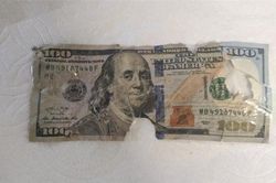 13 bức ảnh của những người xui xẻo hết phần thiên hạ, có lẽ thần may mắn của họ đã ngủ quên