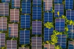IEA: Ngừng nhiên liệu hóa thạch để đạt mục tiêu năng lượng tham vọng