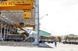 Sẽ tiến hành kiểm tra thường xuyên chữ đường tại các nhà máy