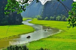 Dừng tổ chức Tuần du lịch 'Sắc vàng Tam Cốc - Tràng An'