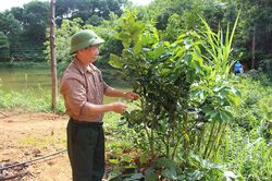 Người cao tuổi xã Tây Cốc nêu gương sáng
