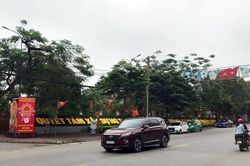 Phổ Yên phấn đấu trồng mới trên 355 nghìn cây xanh