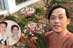 Không phải ca sĩ Hà My, vợ Hoài Linh là ai?