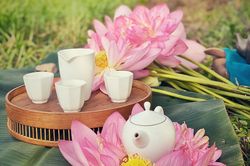 Thưởng trà sen sớm bên đầm bách diệp liên tuyệt đẹp mùa Hạ