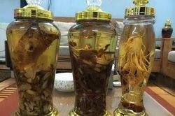 4 loại rượu thuốc khiến 'cậu nhỏ' vâng lời