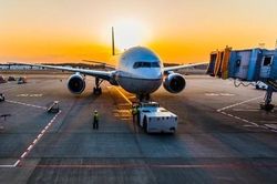 Máy bay phải chuyển đường băng cất cánh vì vướng đàn chim