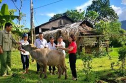 Phát động chương trình 'Mái ấm nhân đạo cho người nghèo vùng biên'