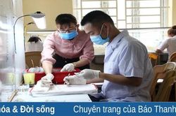 Du nhập nghề sơ chế tổ yến, tạo việc làm cho nhiều lao động