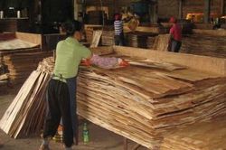 Viforest đề nghị kiểm soát nhập khẩu tủ bếp, tủ nhà tắm để ngăn gian lận xuất xứ