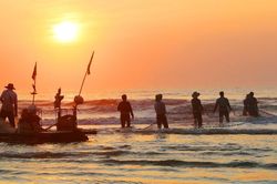 Những mẻ lưới bội thu trở về lúc rạng sáng của ngư dân Hà Tĩnh