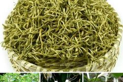 Bài thuốc trừ ho hóa đờm thanh phế khí