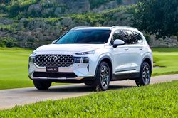 Loạt xe gầm cao hâm nóng thị trường ôtô Việt Nam