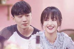 Trương Hằng xin thua fan Trịnh Sảng