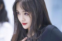Trương Hằng mong Trịnh Sảng bỏ qua mọi chuyện